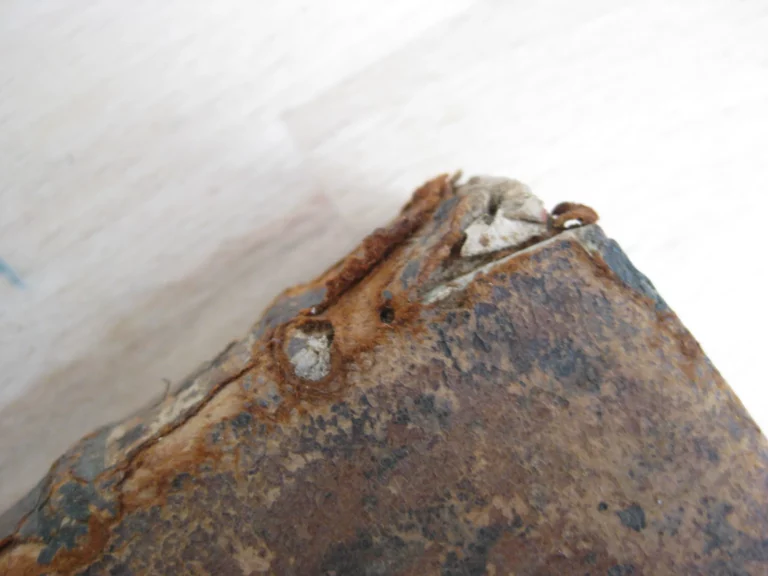 Orationes ex sallustii, livii, curtii, et taciti