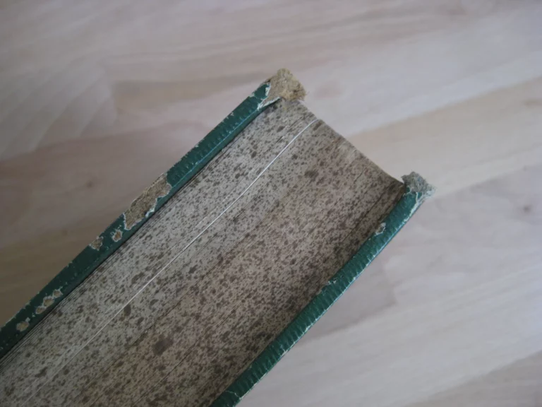 Recueil de trois textes dont Histoire anecdotique de l’armée du Rhin