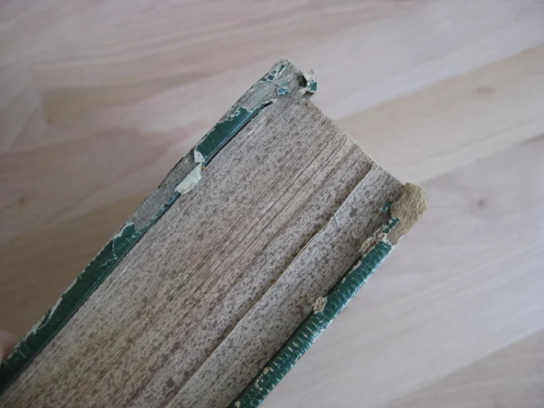 Recueil de trois textes dont Histoire anecdotique de l’armée du Rhin