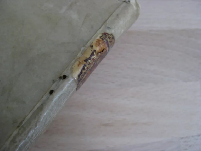 Rime dell'Eccellente Dottore Scipione de' Signori Della Cella Rime dell'Eccellente Dottore Scipione de' Signori Della Cella