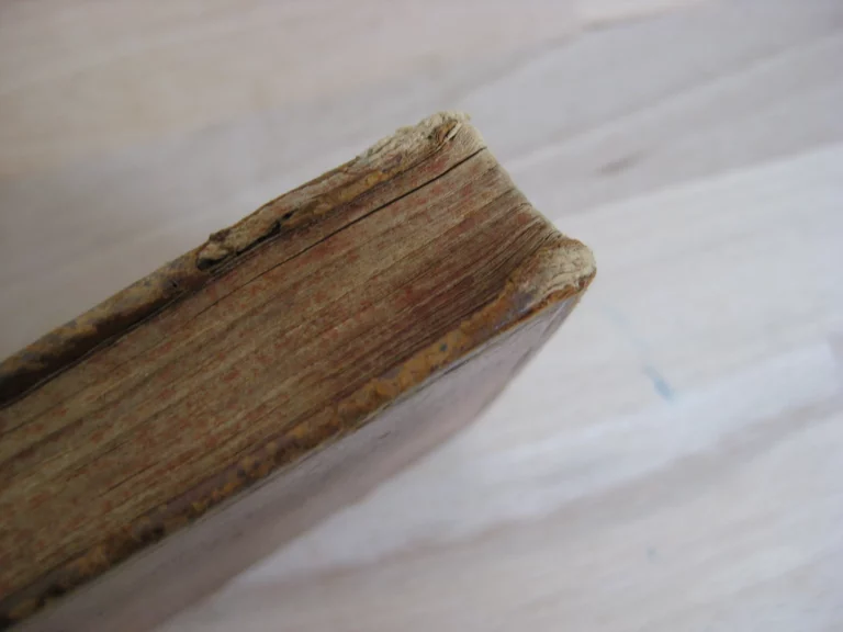 Satyrae, cum annotat. Th. Farnabii Satyrae, cum annotat. Th. Farnabii