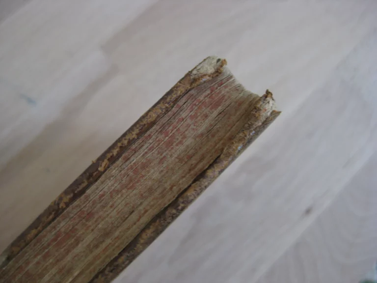 Satyrae, cum annotat. Th. Farnabii Satyrae, cum annotat. Th. Farnabii