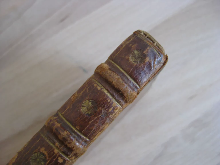 Satyrae, cum annotat. Th. Farnabii Satyrae, cum annotat. Th. Farnabii