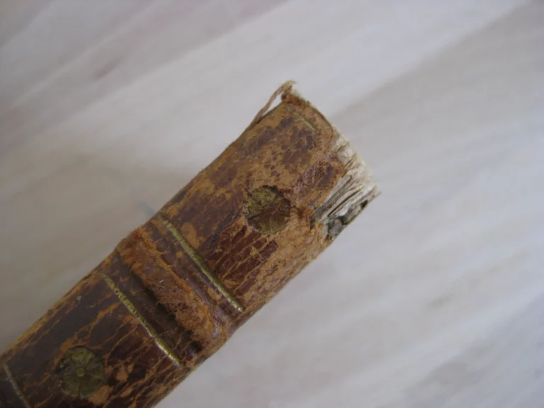 Satyrae, cum annotat. Th. Farnabii Satyrae, cum annotat. Th. Farnabii