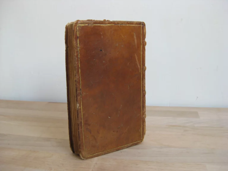 Satyrae, cum annotat. Th. Farnabii Satyrae, cum annotat. Th. Farnabii