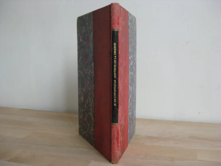 Souvenir de la Terreur à Lyon en 1793