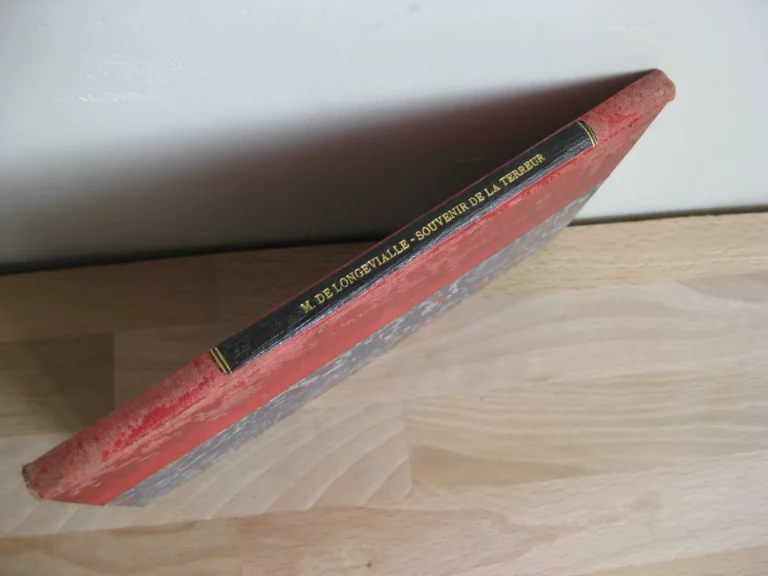 Souvenir de la Terreur à Lyon en 1793