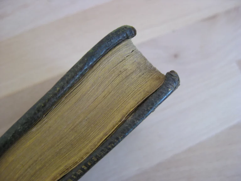 The poetical works. With the life of the author, and a description of the Leasowes The poetical works. With the life of the author, and a description of the Leasowes