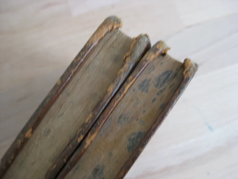 Voyage de Pallas dans l'Empire de Russie et dans l'Asie septentrionale