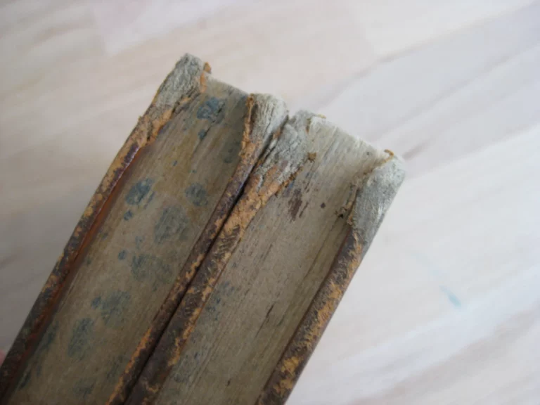 Voyage de Pallas dans l'Empire de Russie et dans l'Asie septentrionale