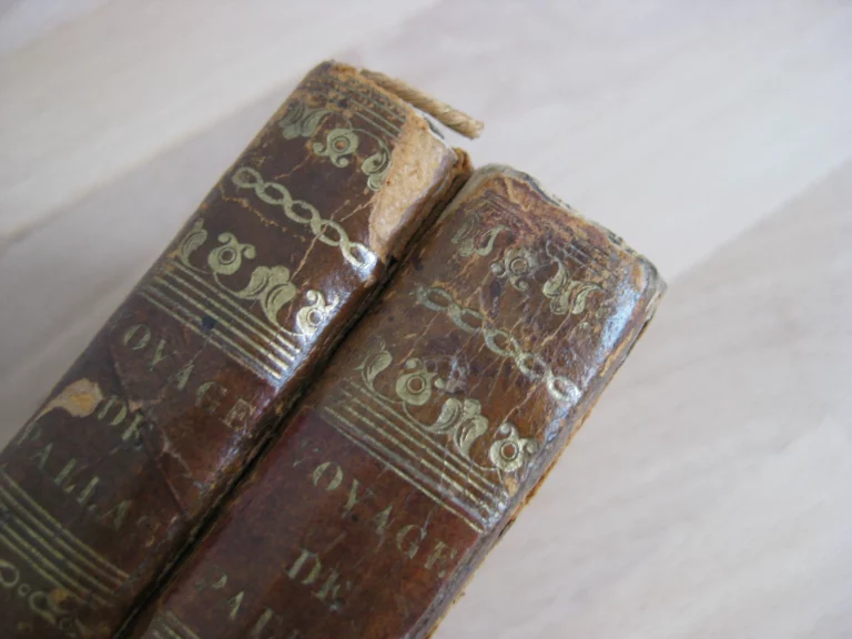 Voyage de Pallas dans l'Empire de Russie et dans l'Asie septentrionale