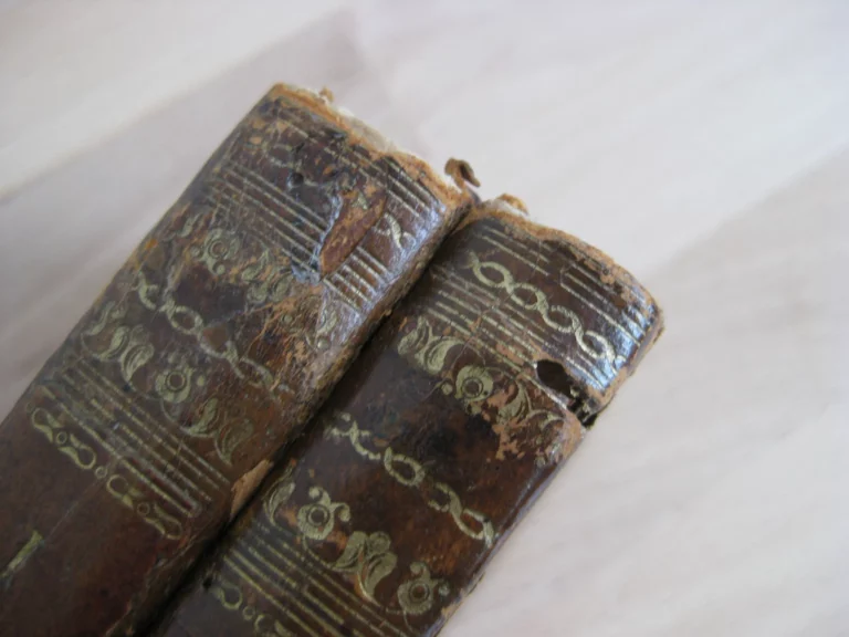 Voyage de Pallas dans l'Empire de Russie et dans l'Asie septentrionale