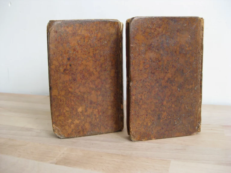 Voyage de Pallas dans l'Empire de Russie et dans l'Asie septentrionale