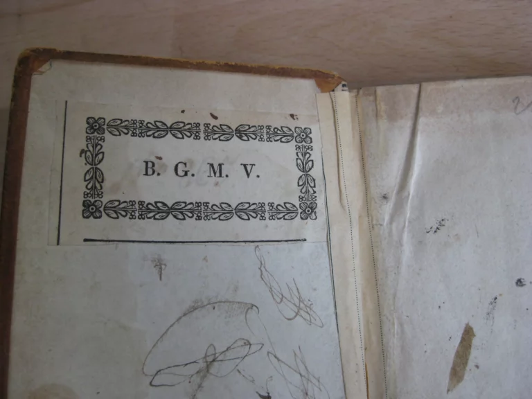 Voyage de Pallas dans l'Empire de Russie et dans l'Asie septentrionale