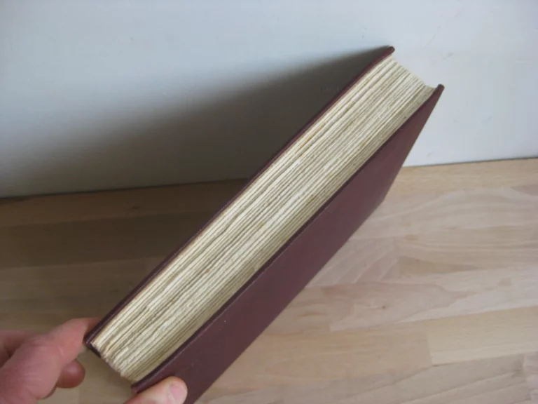 A Princess in Exile, by Marie, Grand Duchess of Russia