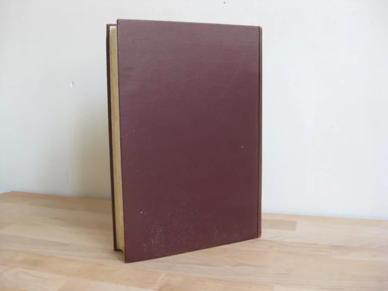 A Princess in Exile, by Marie, Grand Duchess of Russia