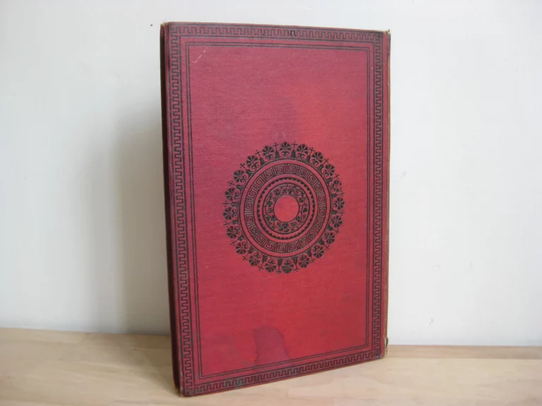 Aventures de trois Russes et de trois Anglais dans l’Afrique australe