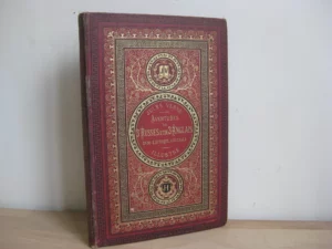Aventures de trois Russes et de trois Anglais dans l’Afrique australe