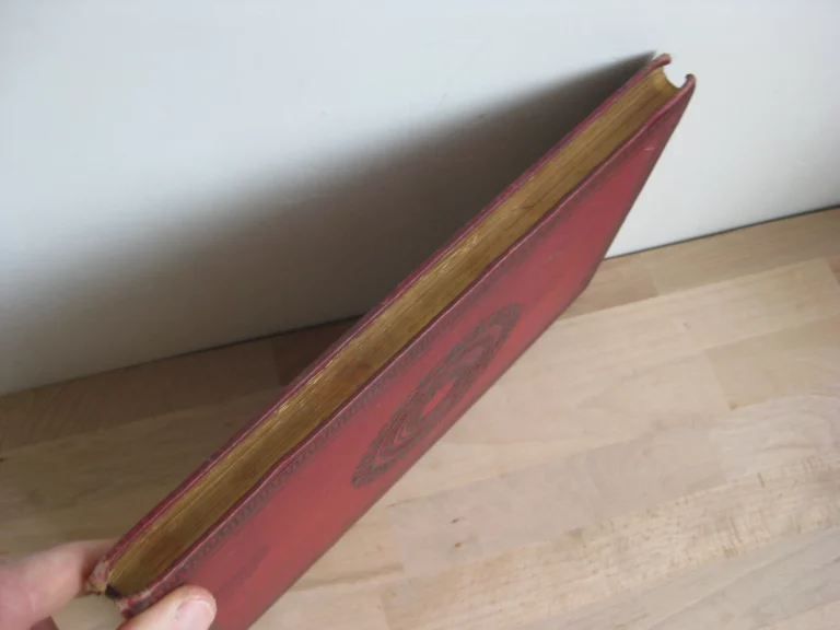 Aventures de trois Russes et de trois Anglais dans l’Afrique australe