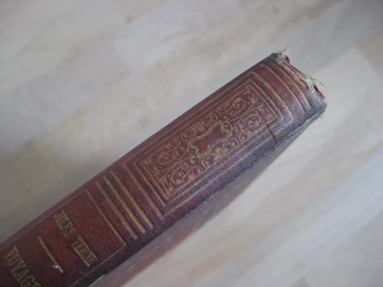 Aventures de trois Russes et de trois Anglais dans l’Afrique australe