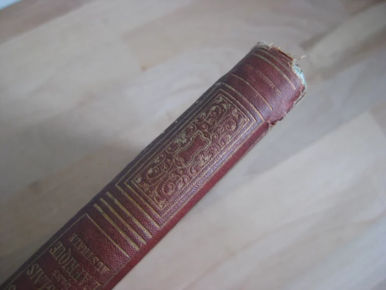 Aventures de trois Russes et de trois Anglais dans l’Afrique australe