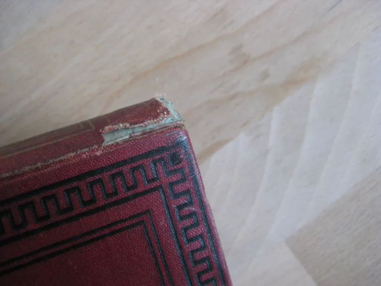 Aventures de trois Russes et de trois Anglais dans l’Afrique australe