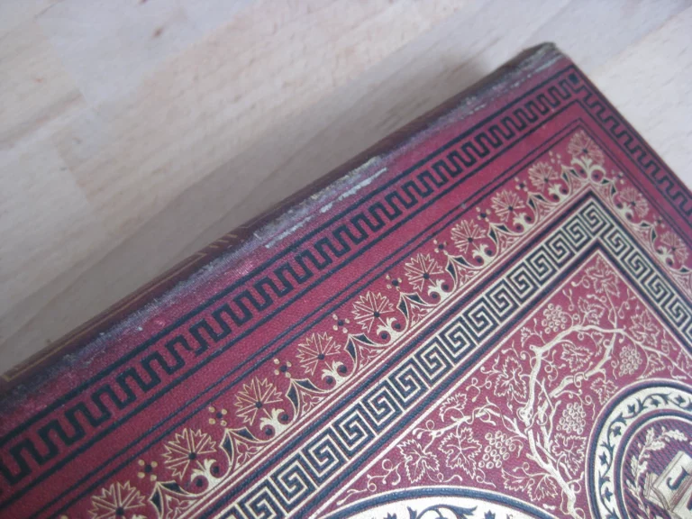 Aventures de trois Russes et de trois Anglais dans l’Afrique australe