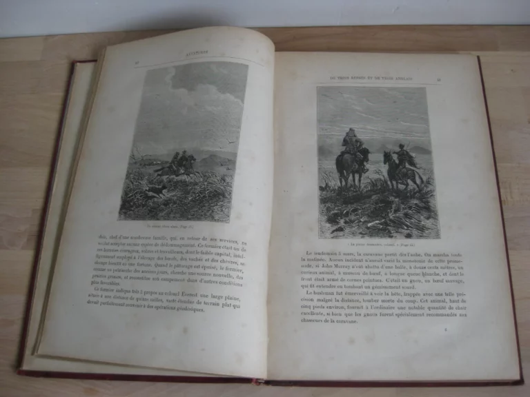 Aventures de trois Russes et de trois Anglais dans l’Afrique australe
