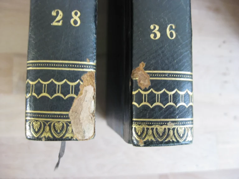 Bibliothèque universelle des voyages effectués par mer ou par terre