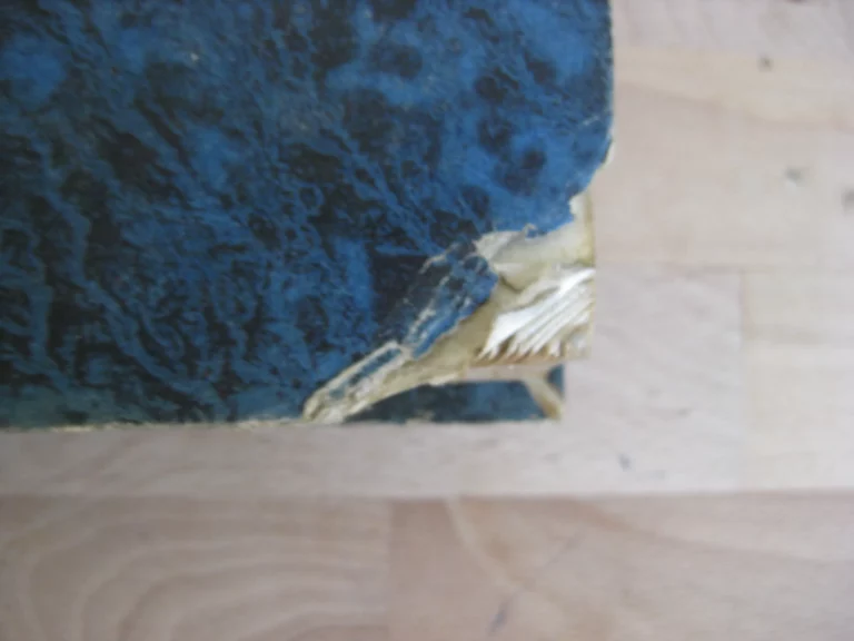 Bibliothèque universelle des voyages effectués par mer ou par terre