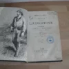 Comment j'ai retrouvé Livingstone. Henri M. Stanley