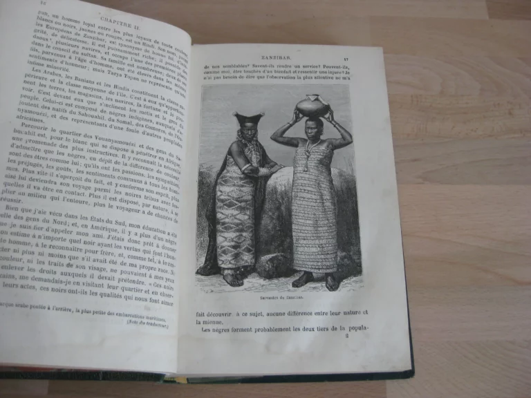 Comment j'ai retrouvé Livingstone. Henri M. Stanley