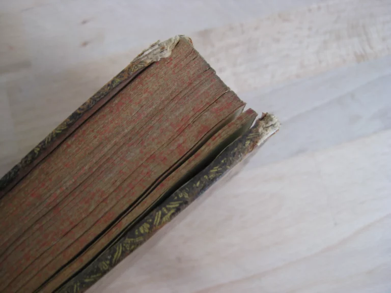 Coutumes du bailliage d’Amiens commentées par Ricard