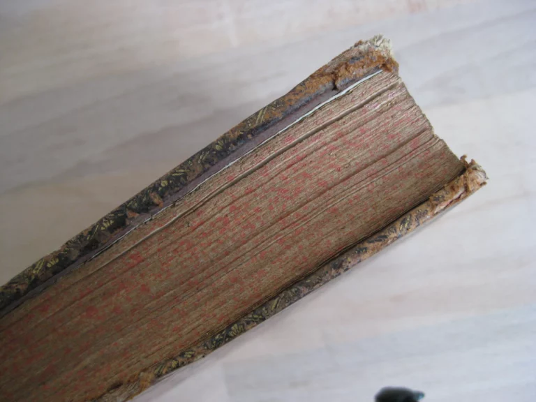 Coutumes du bailliage d’Amiens commentées par Ricard