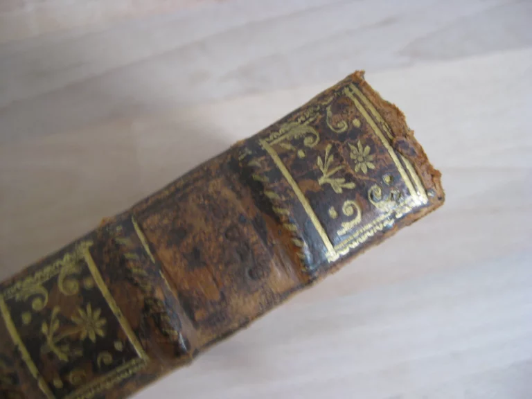 Coutumes du bailliage d’Amiens commentées par Ricard