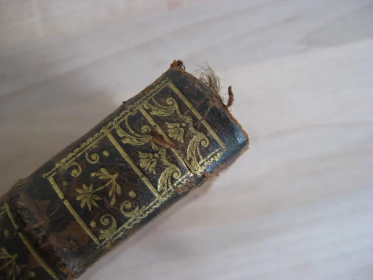 Coutumes du bailliage d’Amiens commentées par Ricard