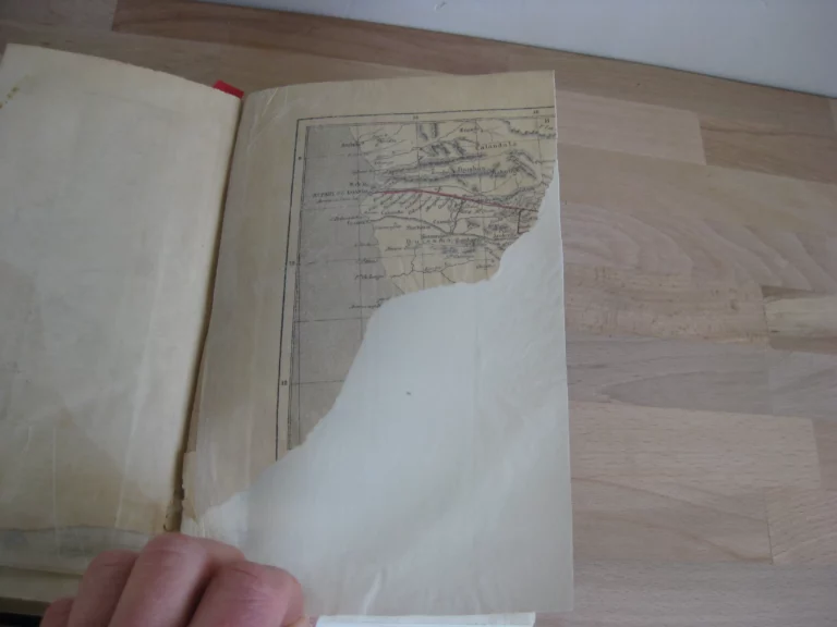 Explorations dans l’intérieur de l’Afrique australe