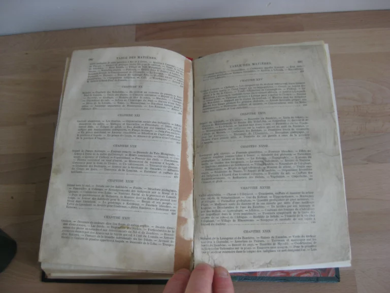 Explorations dans l’intérieur de l’Afrique australe