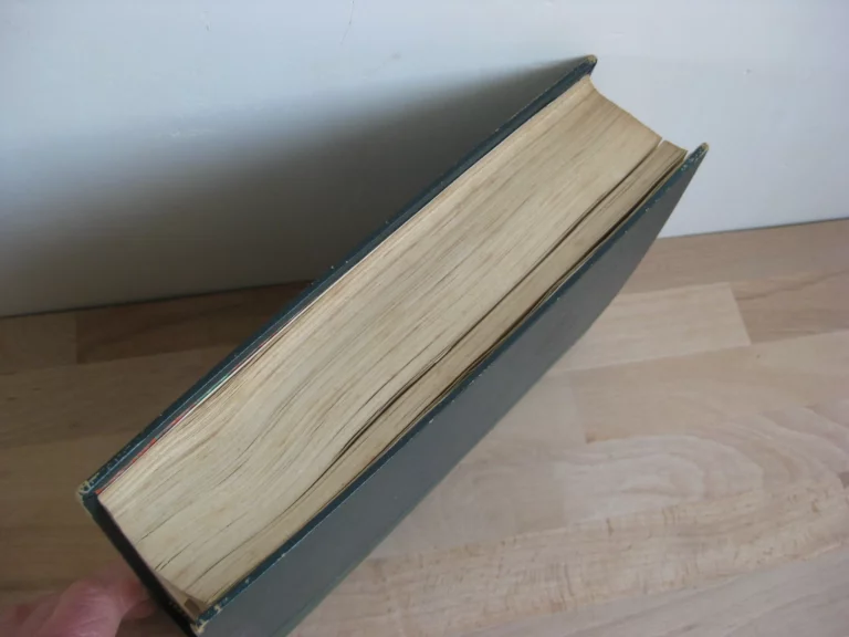 Explorations dans l’intérieur de l’Afrique australe