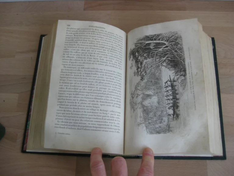 Explorations dans l’intérieur de l’Afrique australe