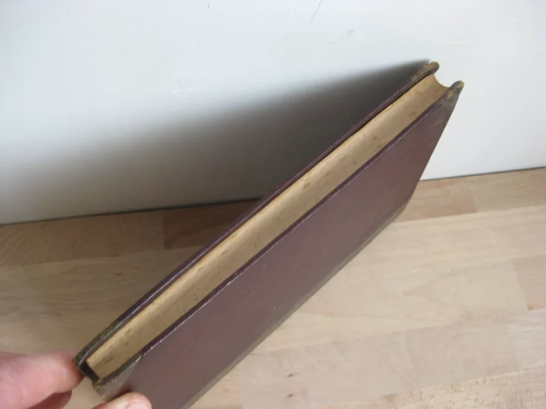 Histoire de la guerre de Hongrie de 1848-1849