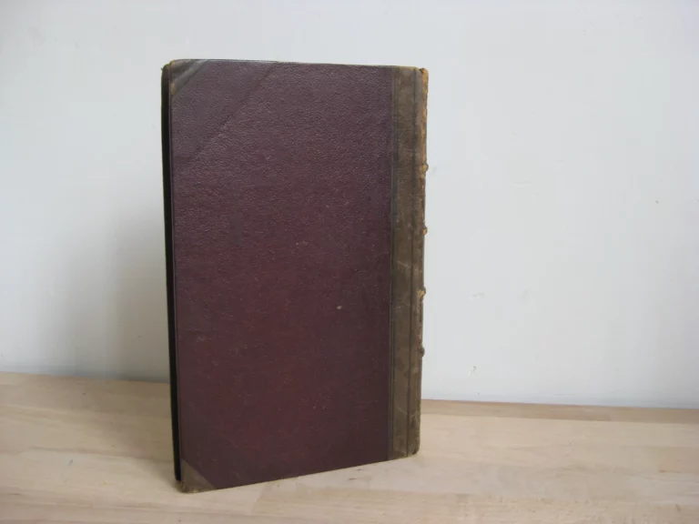 Histoire de la guerre de Hongrie de 1848-1849