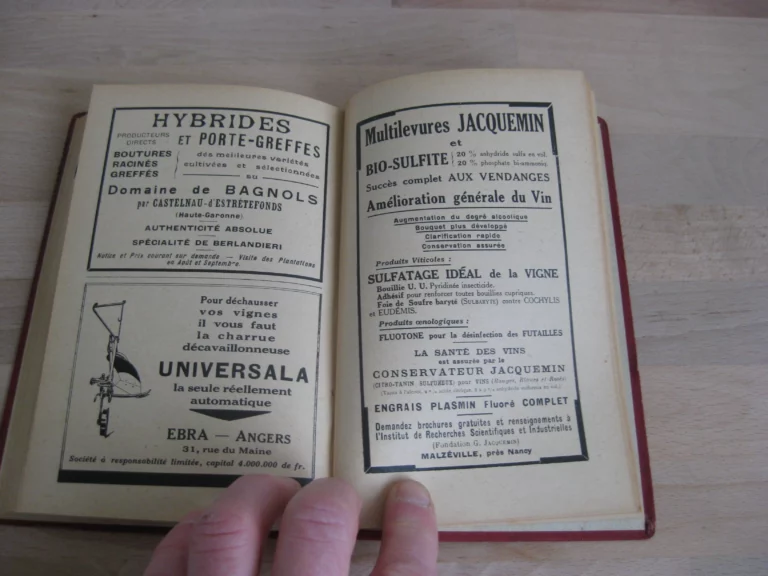 La culture de la vigne dans les Charentes et la production du cognac La culture de la vigne dans les Charentes et la production du cognac