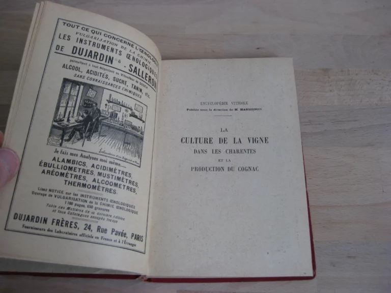 La culture de la vigne dans les Charentes et la production du cognac La culture de la vigne dans les Charentes et la production du cognac
