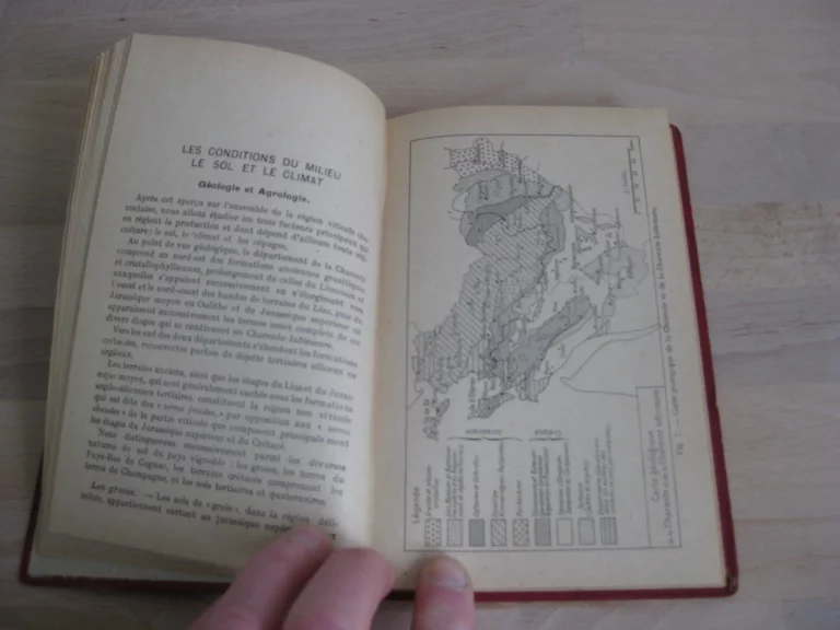 La culture de la vigne dans les Charentes et la production du cognac La culture de la vigne dans les Charentes et la production du cognac
