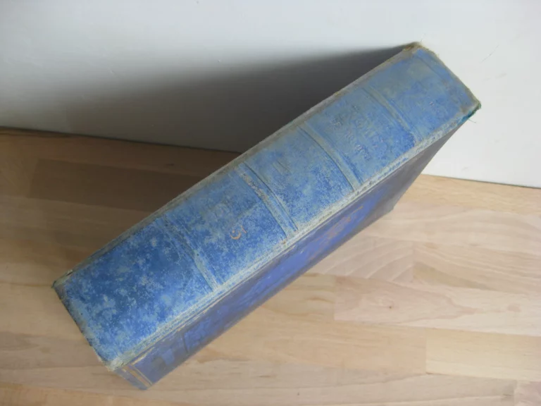 Le Kremlin de Moscou. Esquisses et tableaux. Autrefois et Aujourd’hui