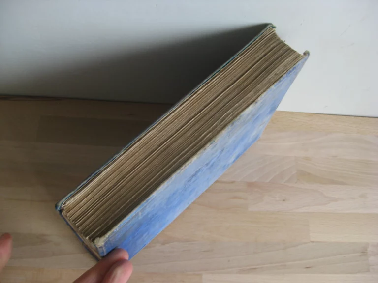 Le Kremlin de Moscou. Esquisses et tableaux. Autrefois et Aujourd’hui