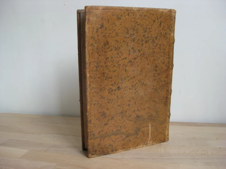 Les plaidoyers politiques de Démosthène. Texte grec