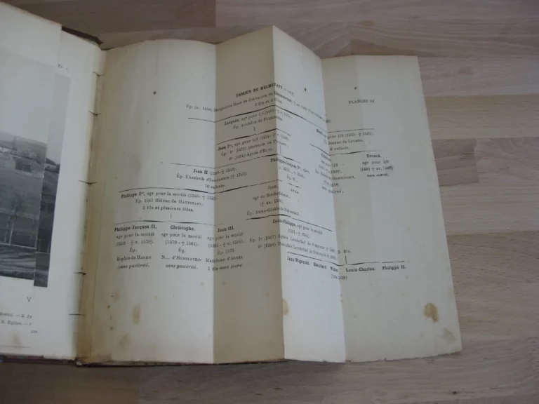 Les seigneurs de Chateauvoué 966-1793