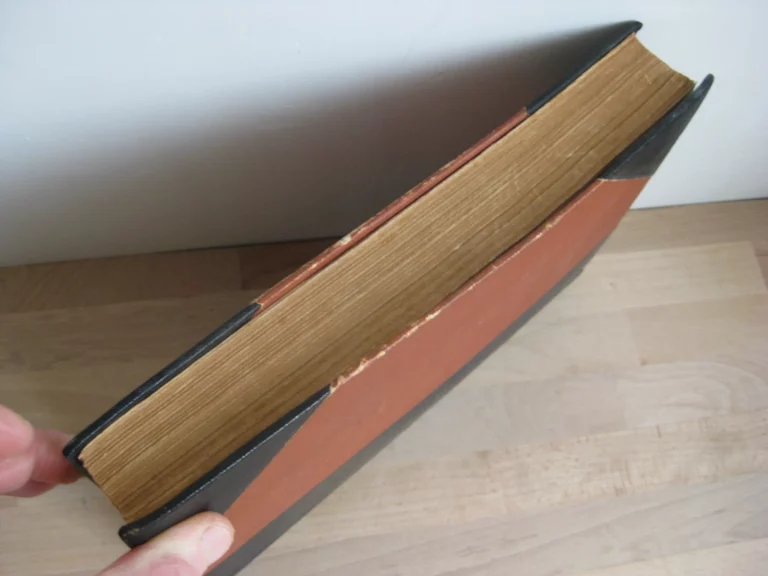 Les terres de Canudos. Grand roman historique. Les terres de Canudos. Grand roman historique.